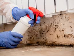 Best Crawl Space Mold Remediation  in Stanley, WI